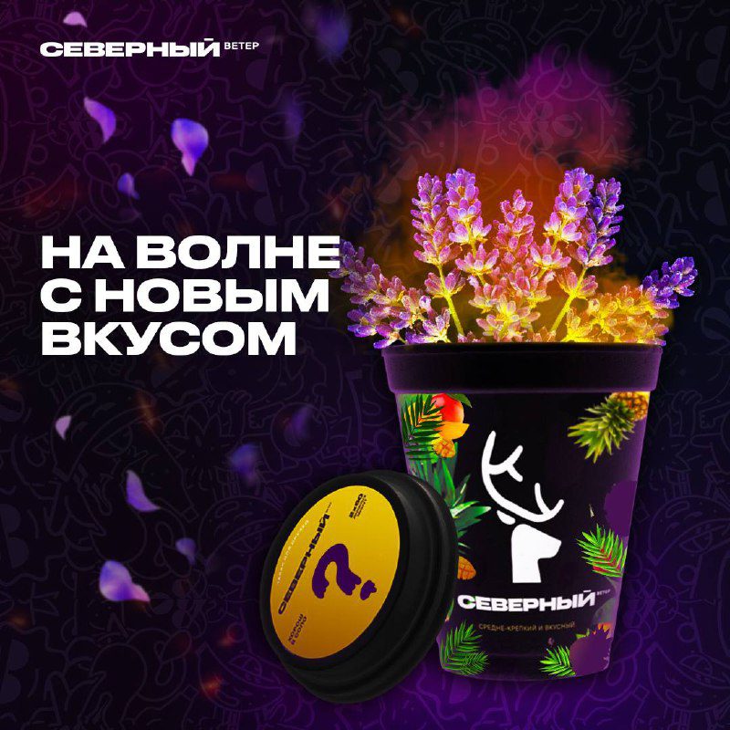 / Не греет кофе? Согреет СЕВЕРНЫЙ!Новинки от СЕВЕРНОГО не позволят тебе поддаться ... на Бест Хука !